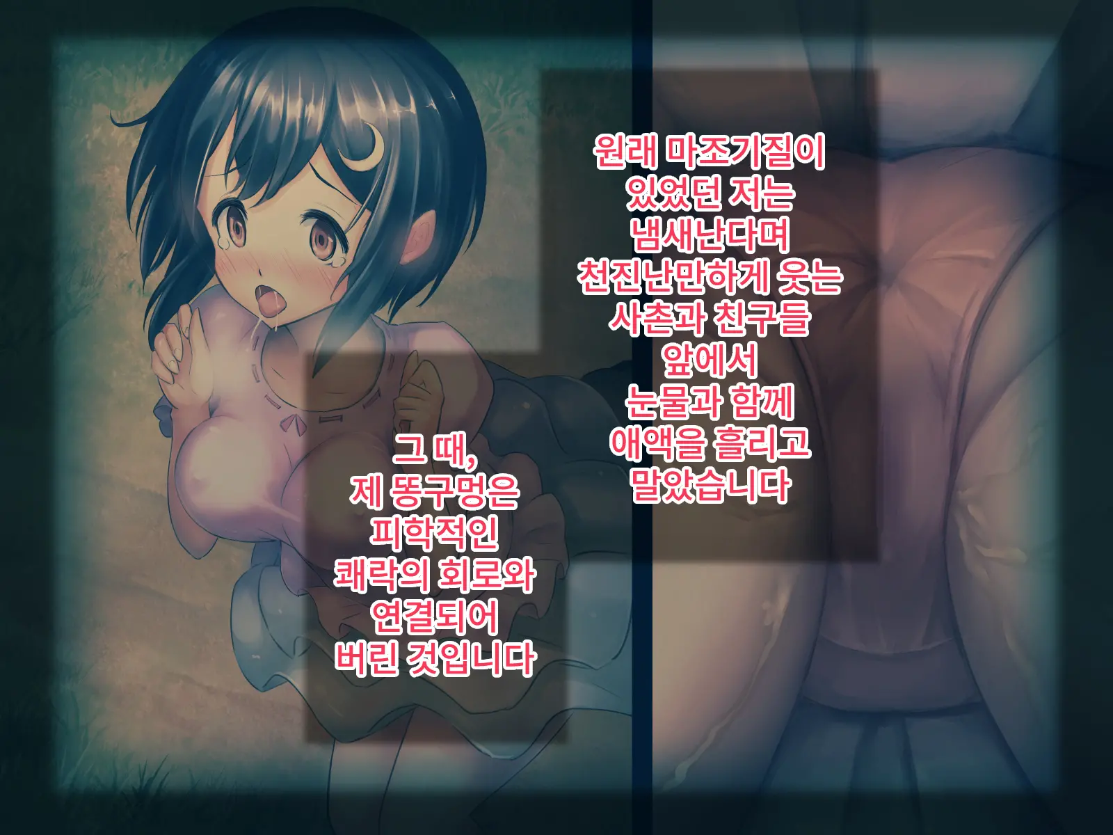 Paraphilia 1 ~Seiren De Oshitoyaka Na Otome Ga Kare To Isshoni Hentai Maso Dorei Ni Ochiru Made~